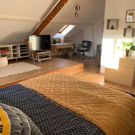 La Maison Parisienne & Jardin Guest house *